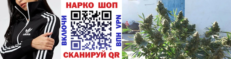 Где купить Междуреченск ГАШИШ КОКАИН Псилоцибиновые грибы Alpha PVP Каннабис Мефедрон