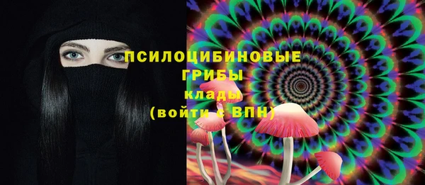 мяу мяу мука Аркадак