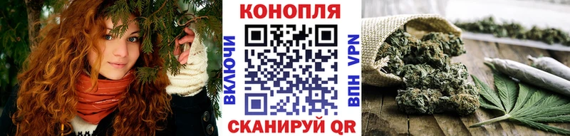 Конопля план  Междуреченск 